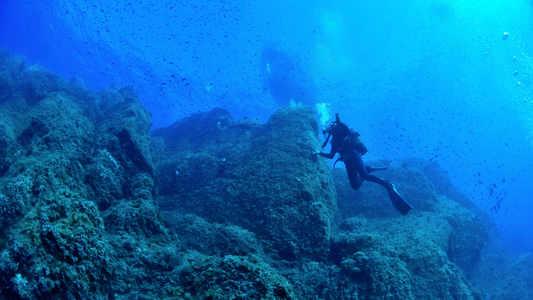 El viaje de Miguel: Preparándose para el desafío del buceo profesional
