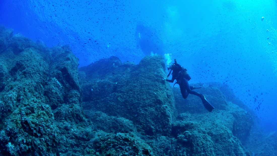 El viaje de Miguel: Preparándose para el desafío del buceo profesional