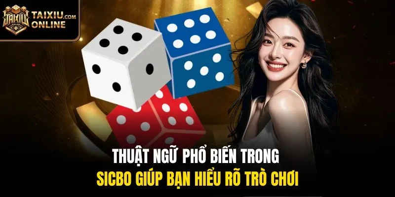 Thuật ngữ phổ biến trong Sicbo giúp bạn hiểu rõ trò chơi